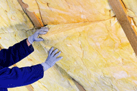 batts in the attic, Boston, Nonatum MA